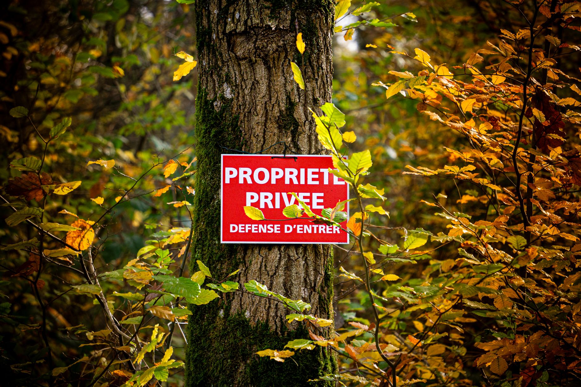 Détective privé à Le Mans